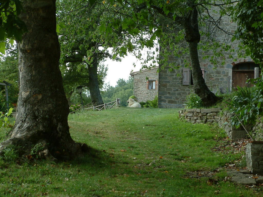 Casina Della Burraia